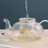 Glass Teapot | Heat-Resistant Borosilicate Glass