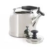 Stainless Steel Whistling Teapot Kettle | 2.2 Quart