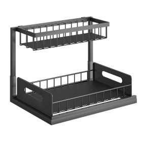 Under Sink Organizer | 2-Tier