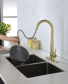 High Arc Kitchen Faucet | Pull Down Sprayer