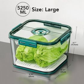 Timer-Controlled Freshness Boxes | Food Storage Containers