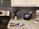 Glass Cutting Board | Red Deer