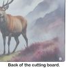 Glass Cutting Board | Red Deer