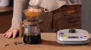 Gooseneck Coffee Brewing Kettle