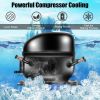 Self-Cleaning | Ice Maker