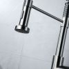 Kitchen Faucet | Pull Down Sprayer