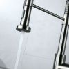 Kitchen Faucet | Pull Down Sprayer
