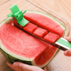 Windmill Design Watermelon Cutter | Stainless Steel