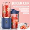 Small Electric Juicer | 6 Blades