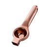 Manual Fruit Juicer | Stainless Steel