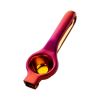 Manual Fruit Juicer | Stainless Steel