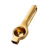 Manual Fruit Juicer | Stainless Steel