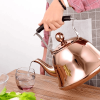 Stainless Steel Whistling Kettle | 2-Quart