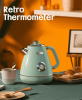 Electric Kettle | Mint Green Retro Design
