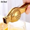 Manual Fruit Juicer | Stainless Steel