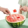 Stainless Steel | Watermelon Slicer
