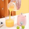 Rechargeable Smoothie Maker | Portable