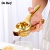 Manual Fruit Juicer | Stainless Steel